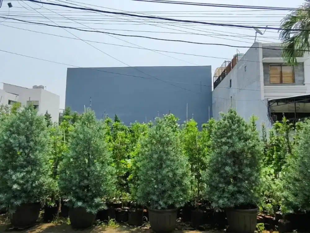 ANA TANAH UK 10X22M DI MERUYA