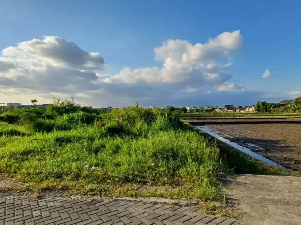 Tanah Premium Jogja Dekat Gembira Loka Zoo