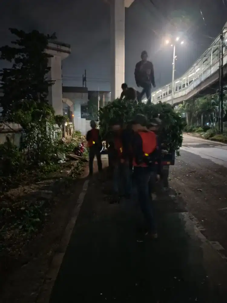 Jasa tebang pohon dan pembersihan lahan