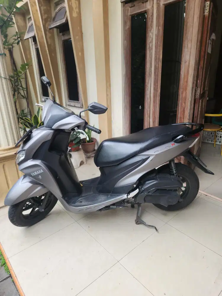 Freego abu abu 2019 gbm