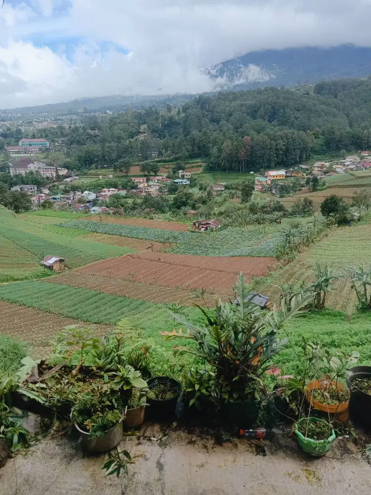 Driver berpengalaman dan profesional