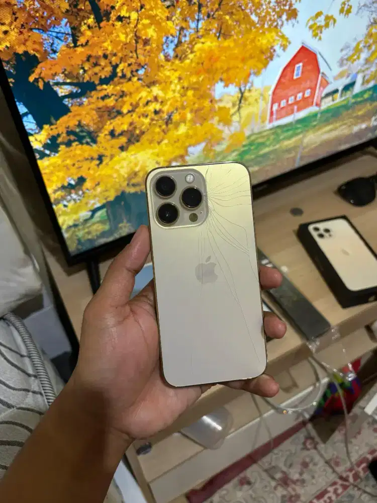 Iphone 13 pro 128gb inter