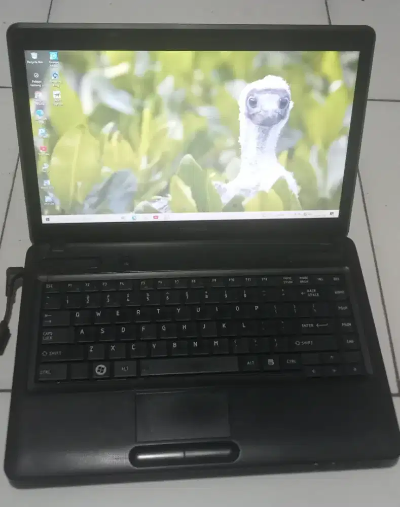JUAL CEPET LAPTOP TOSHIBA SATELLIT