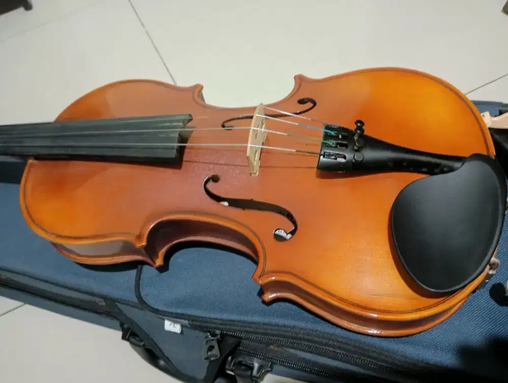 Biola (tipe Violin MV OO5  4/4)