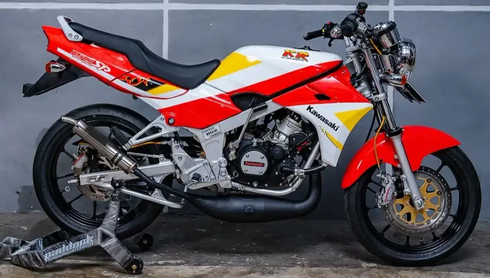 Kawasaki Ninja r 2011