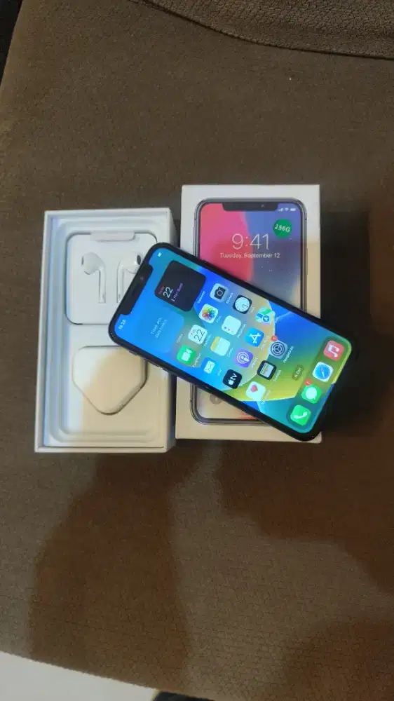 iPhone x 256gb all operator