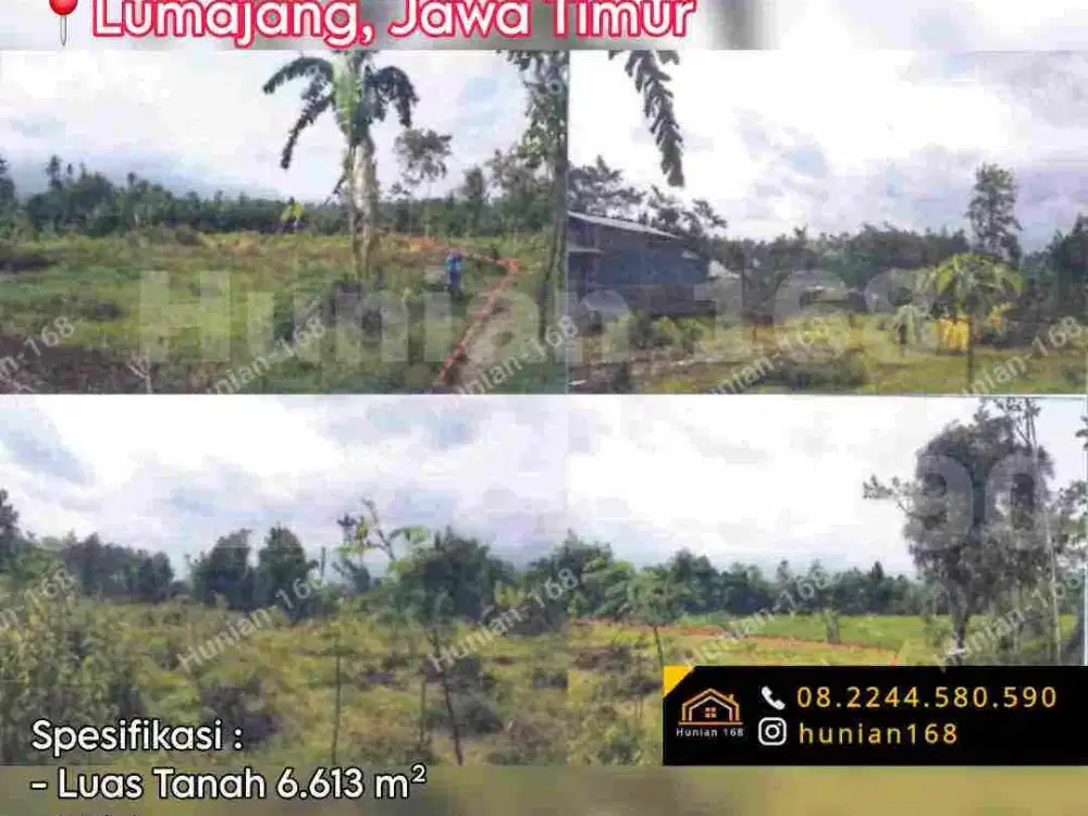 Jual Gudang Kantor Ruko Pabrik Industri Tanah Developer Perumahan Komplek Kompleks Perkantoran Komersil Komersial Raya Propinsi Provinsi Lumajang Jatim Jawa Timur