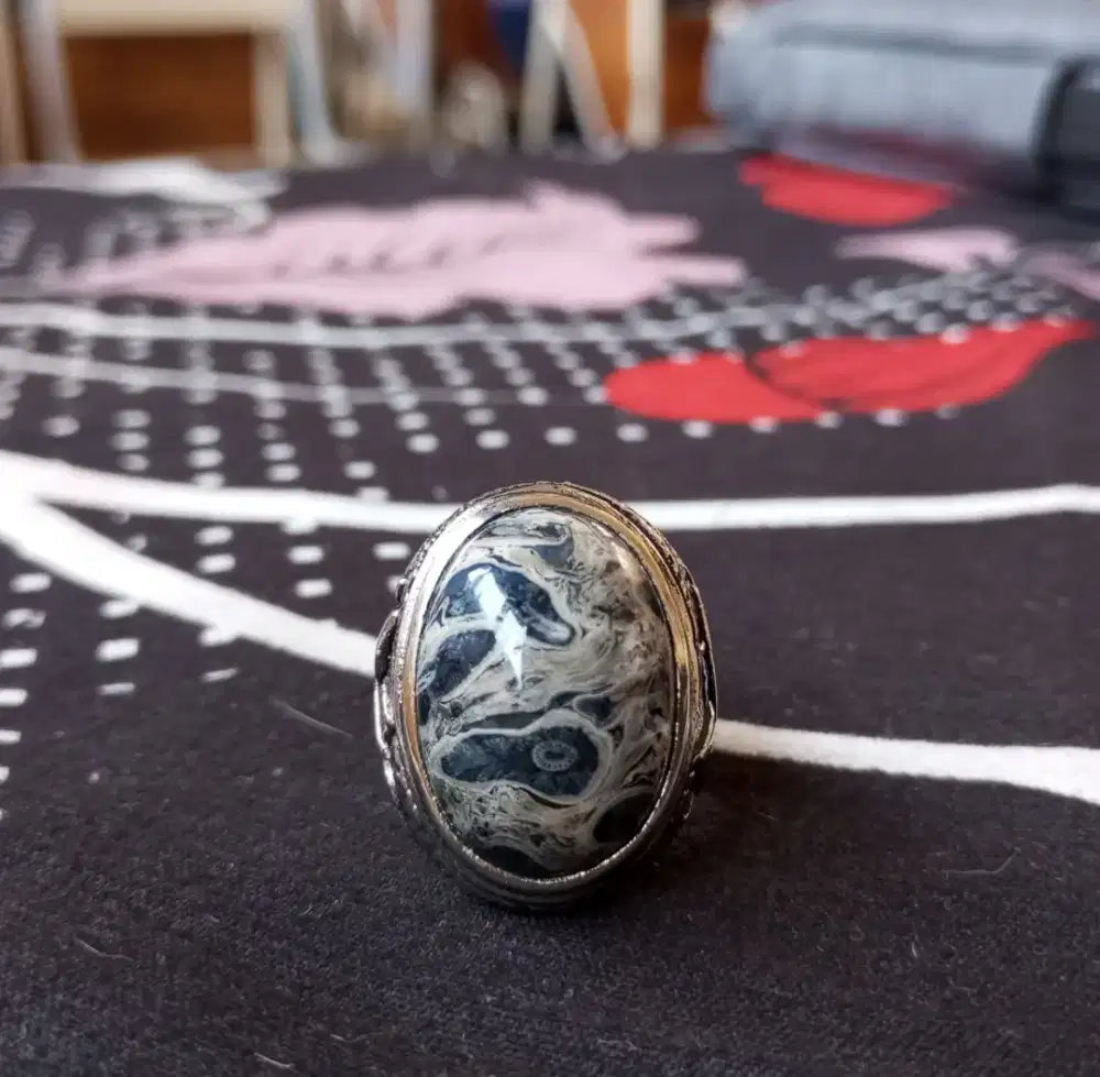 Batu Akik Fosil Aren Pamor