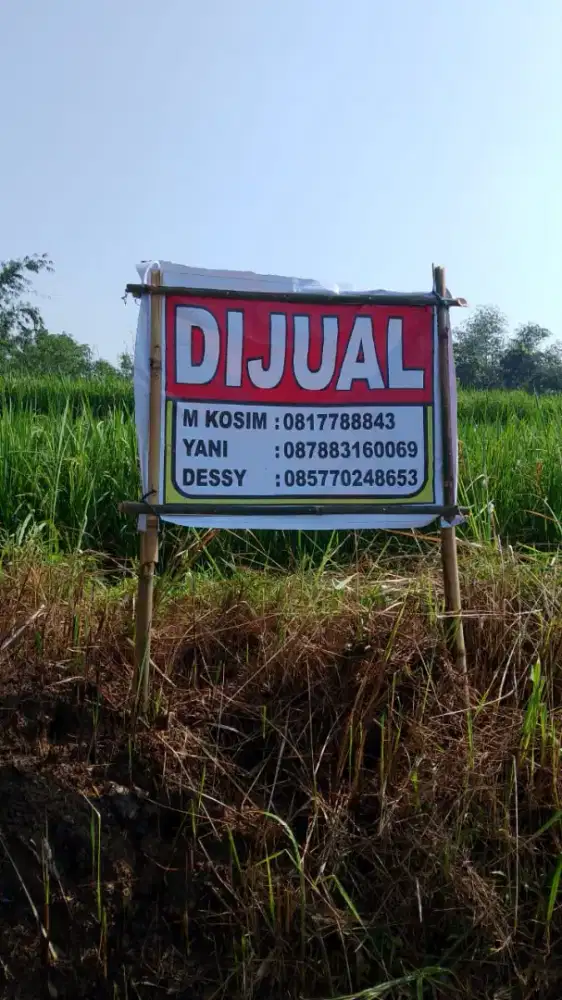 Di Jual Sawah SHM milik pribadi