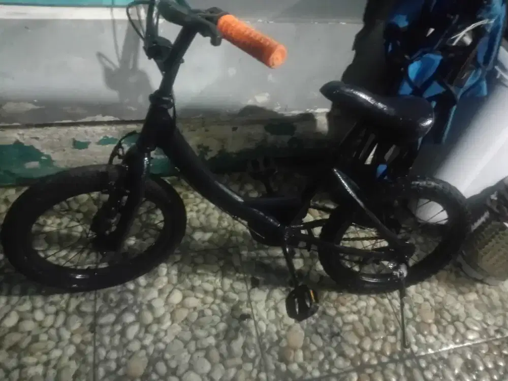 jual cepat sepeda anak