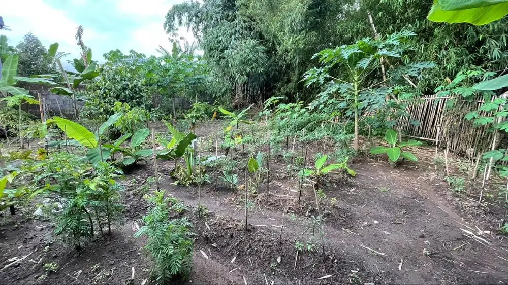 DIJUAL TANAH PEKARANGAN STRATEGIS DI YOGYAKARTA