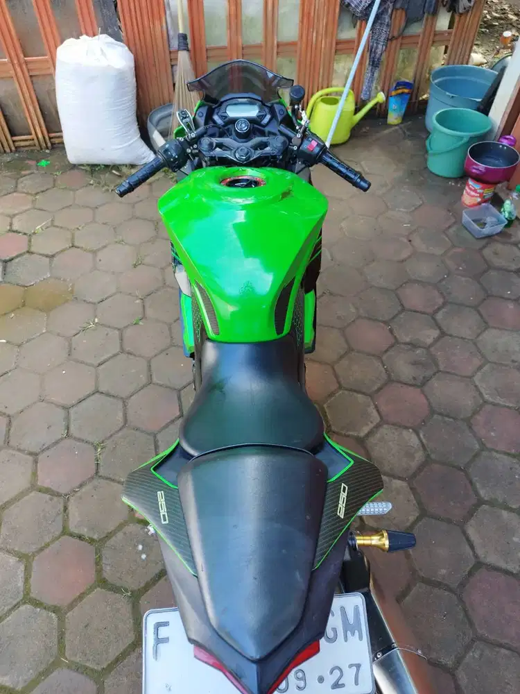 Kawasaki Ninja RR Mono