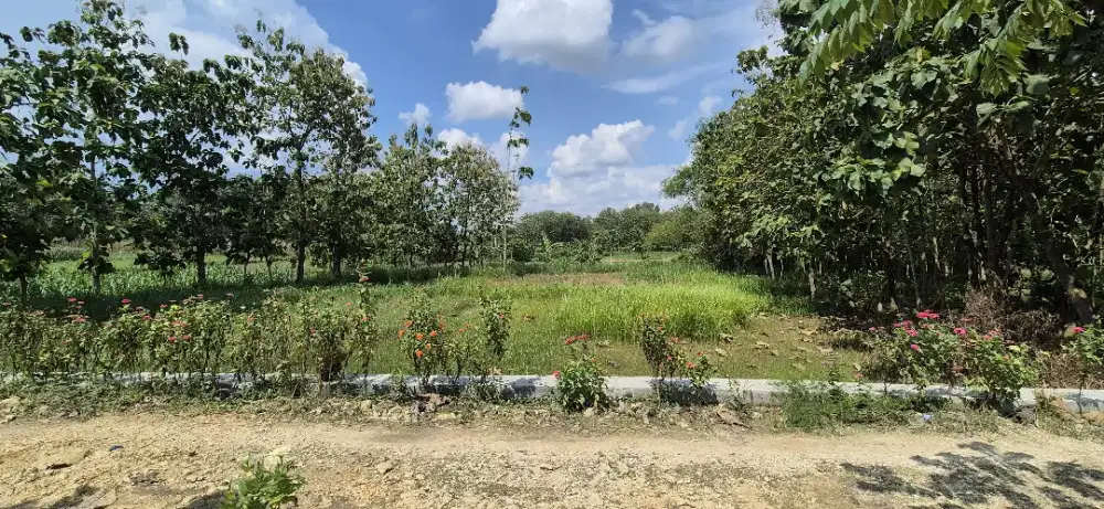 Dijual tanah di Grobogan