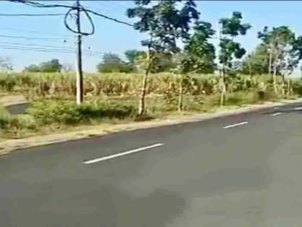 Tanah di Lamongan Tikung