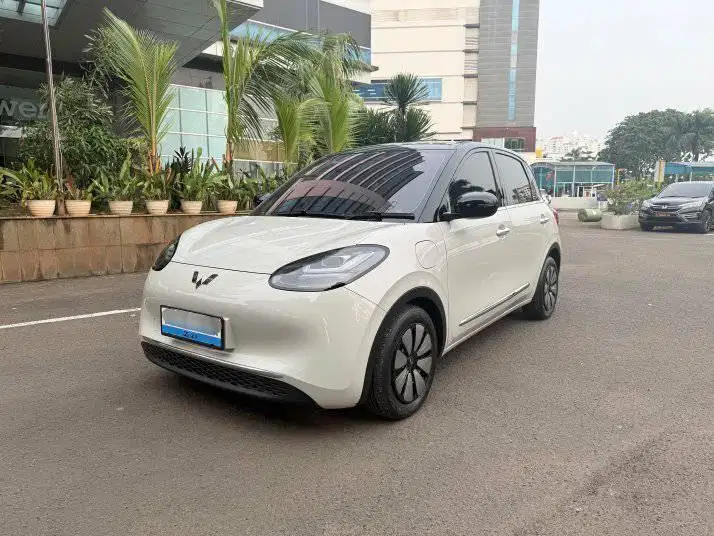 Wuling Binguo Long Range Ev 2024 AC/DC KM 20rb Tgn1 dr Baru. Orisinil