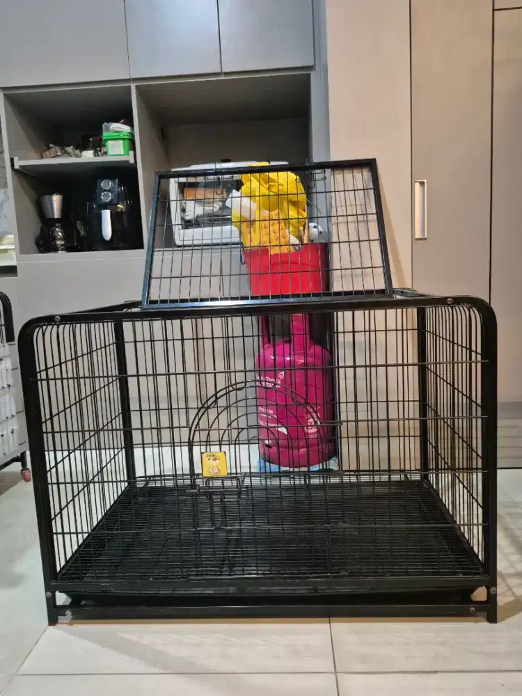 Kandang anjing Paws & Tails