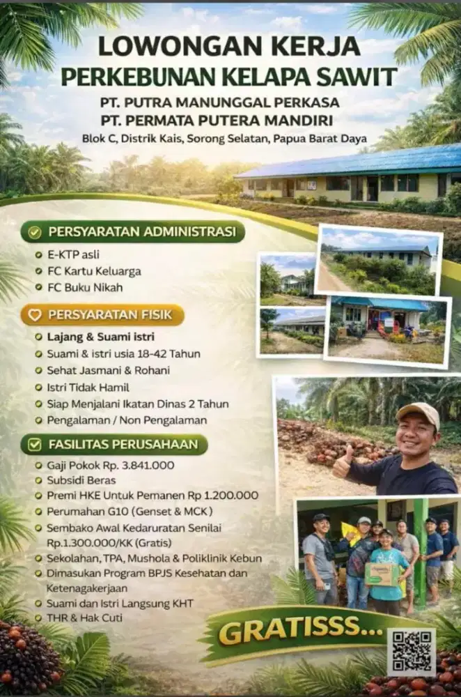 Butuh satu cowok sawit