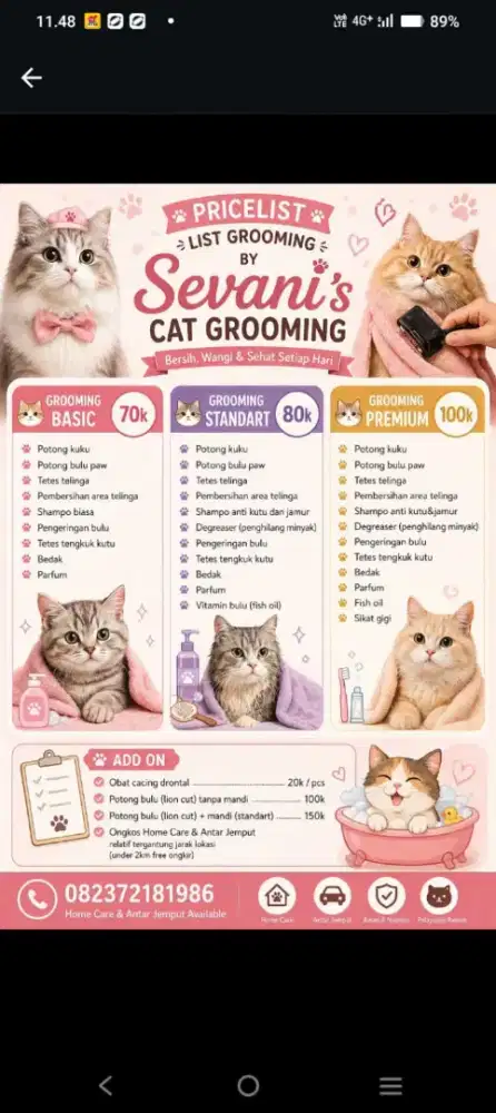 Grooming kucing