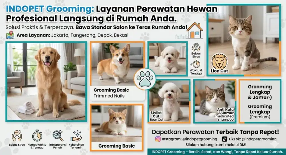 Mustika jaya Bekasi pet Grooming anjing dan kucing panggilan termurah