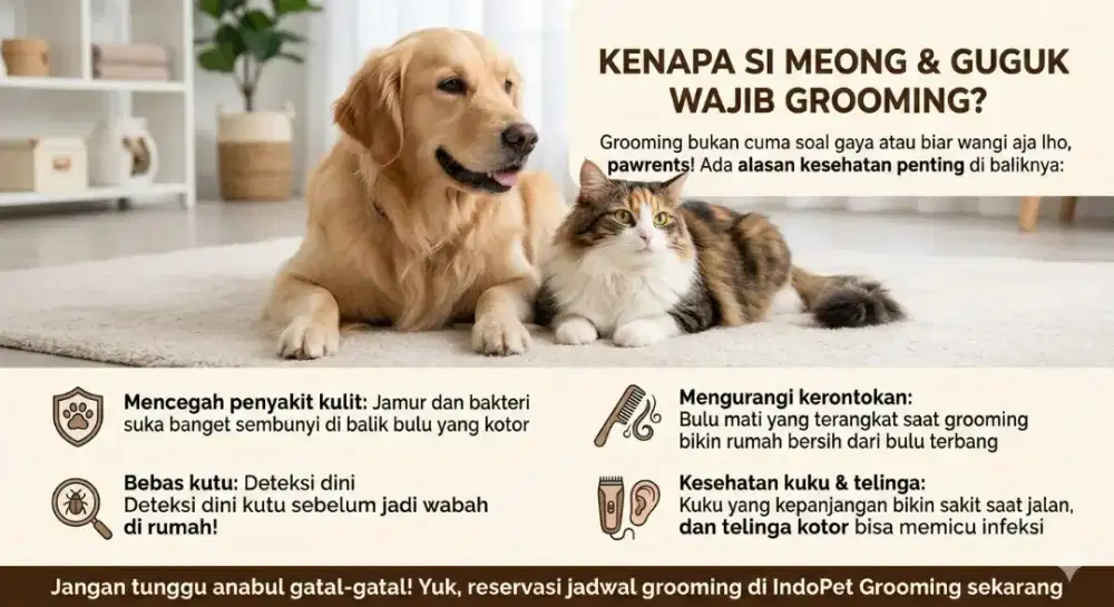 Salon hewan panggilan cat&dog termurah pondok melati Bekasi kota