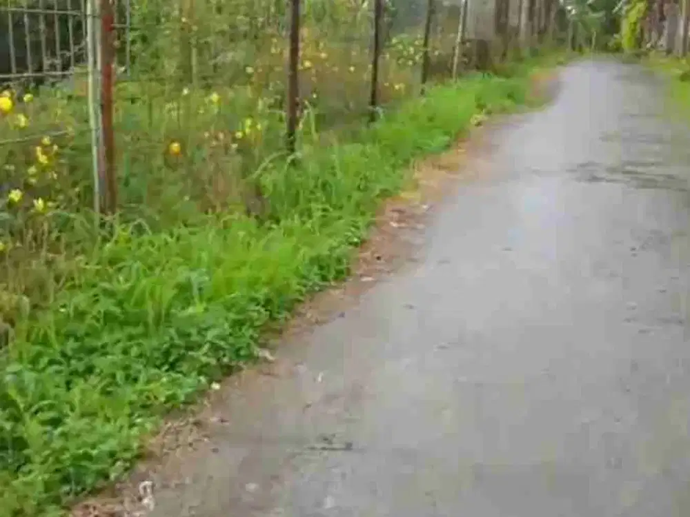 Dijual Kebun Durian & Alpukat di Cijeruk Bogor