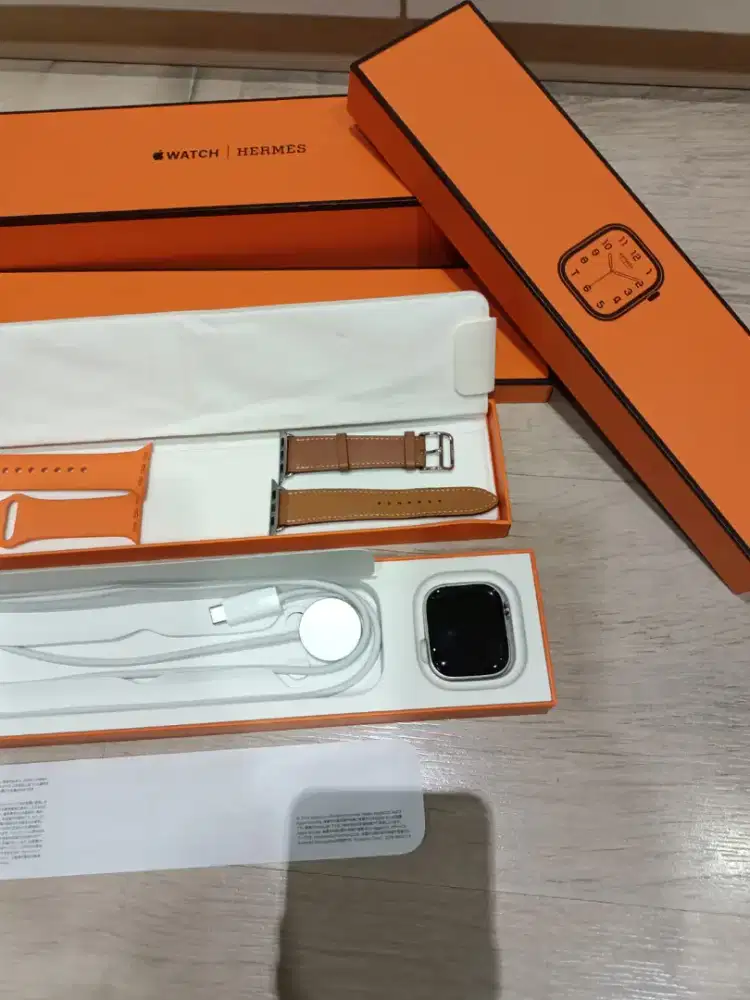 Series 10 Silver Titanium & Gold Band Apple Watch Single T 2025