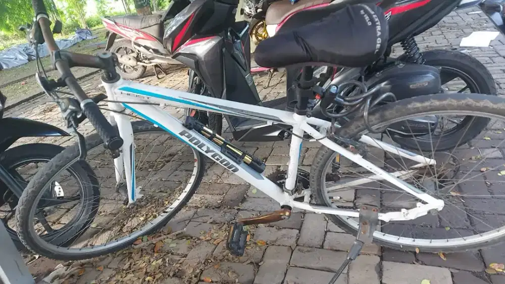 Sepeda Polygon Heist 1.0