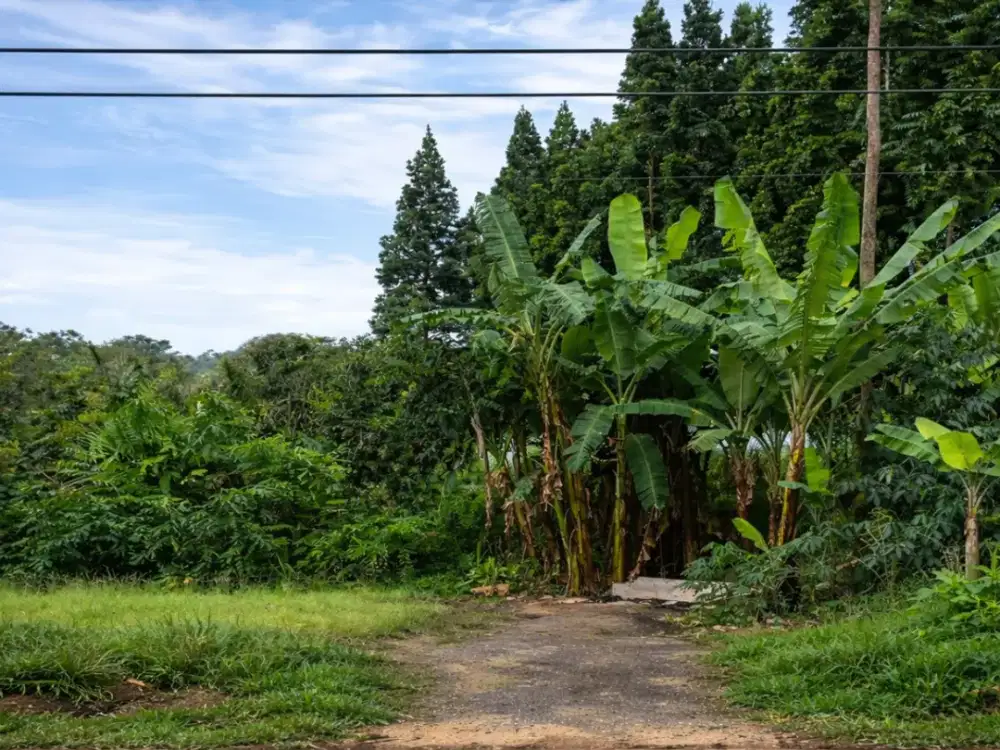 Murah! Rumah 3KT 2 Lantai Dekat Tol