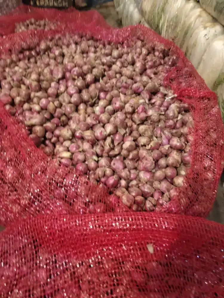 Bawang ndemak Jawa tennggah