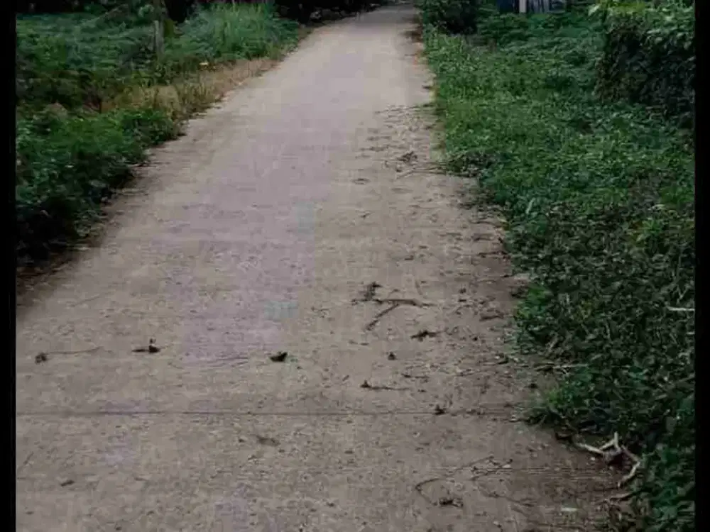 dijual tanah dekat Cisauk di Rumpin