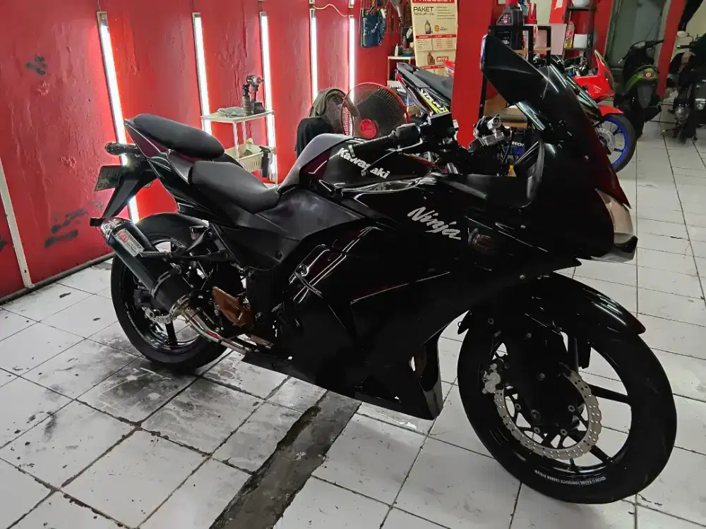 Kawasaki Ninja 250 Karbu 2008