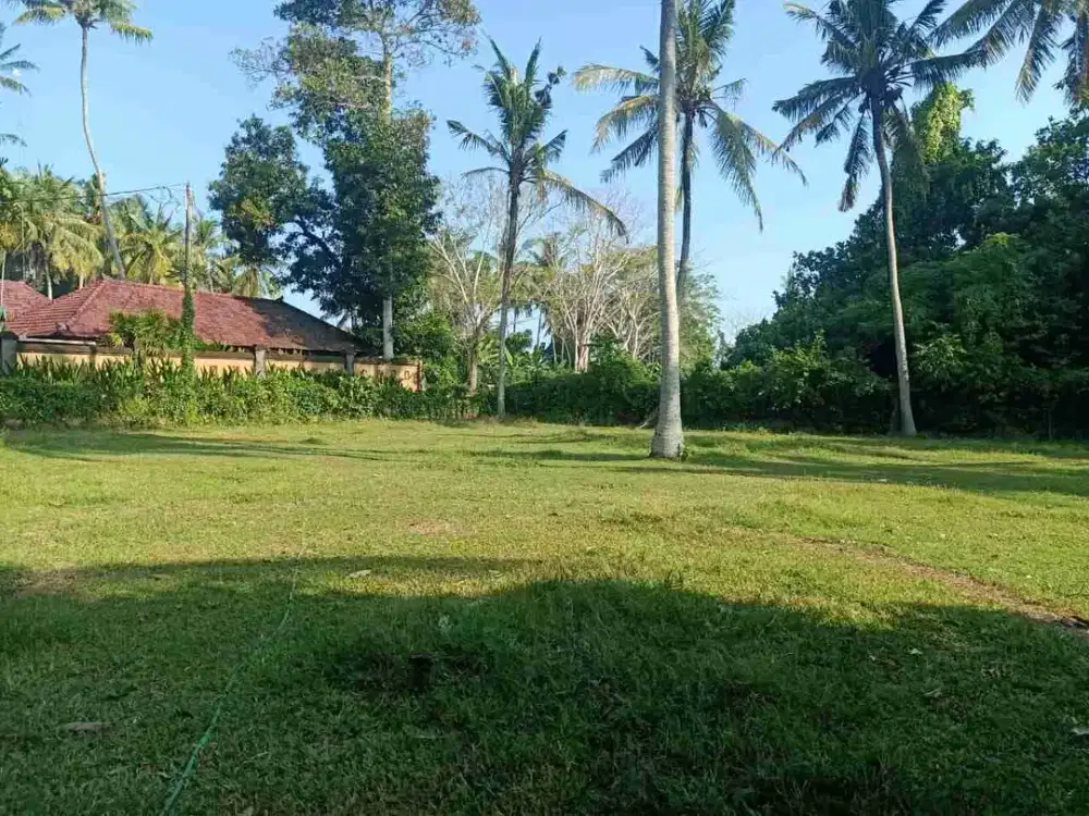 Dekat Pantai Pasut! Lahan Komersial 800m² Harga Menarik