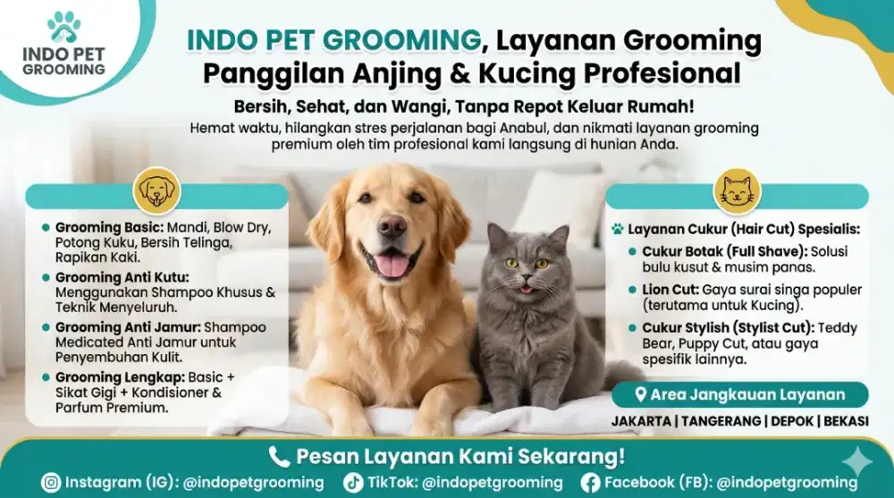 Grooming cat&dog panggilan datang kerumah