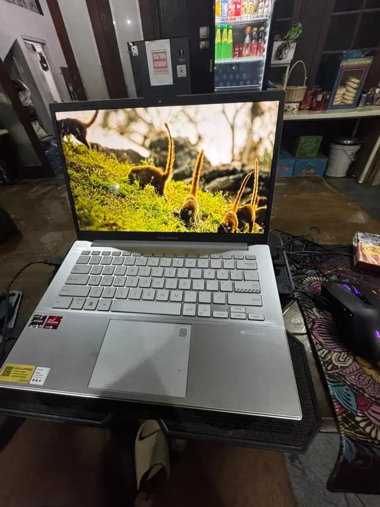 Asus vivobook go 14 E1404FA
