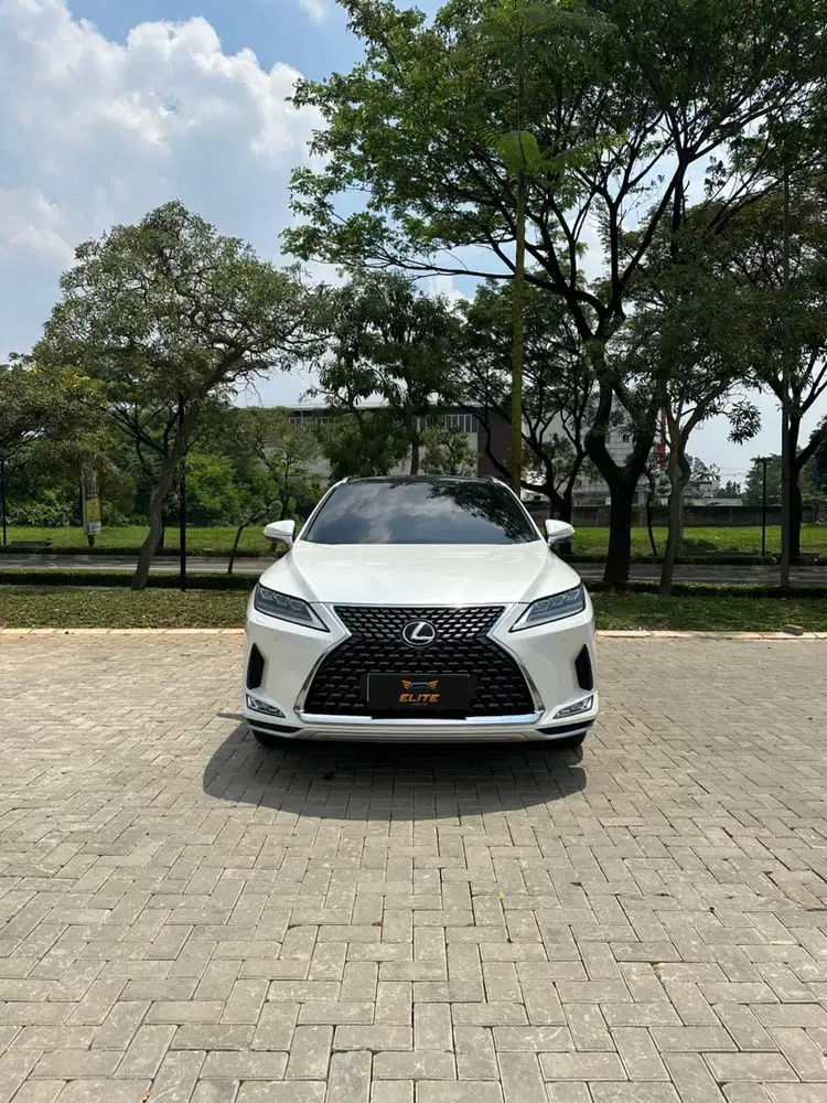 Lexus RX 300 Luxury 2021