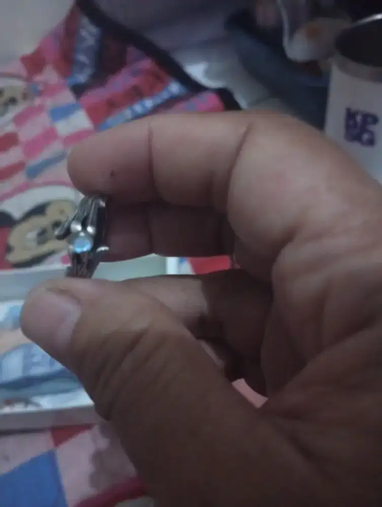 Cicin perak batu bulan