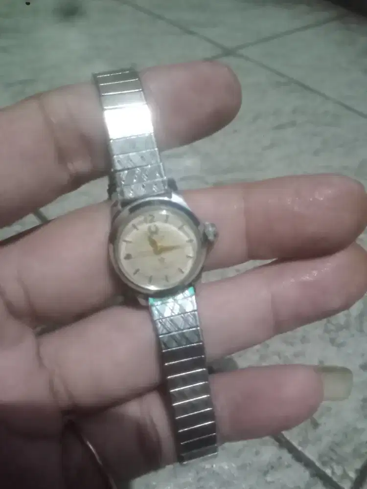 Titus manual wind ladies