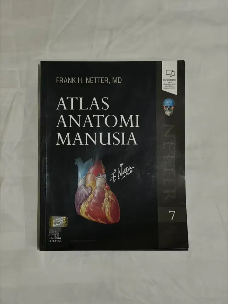 ATLAS ANATOMI NETTER EDISI 7 BUKU KEDOKTERAN