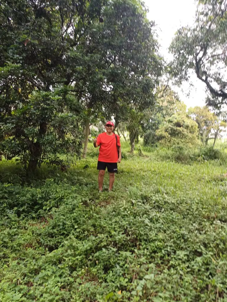 DIJUAL CEPAT TANAH PEKARANGAN