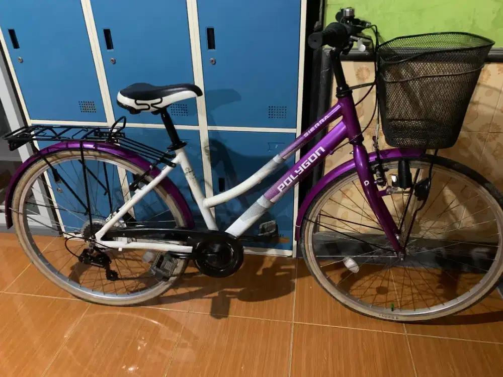 Polygon Sierra 26 inchi alloy like new