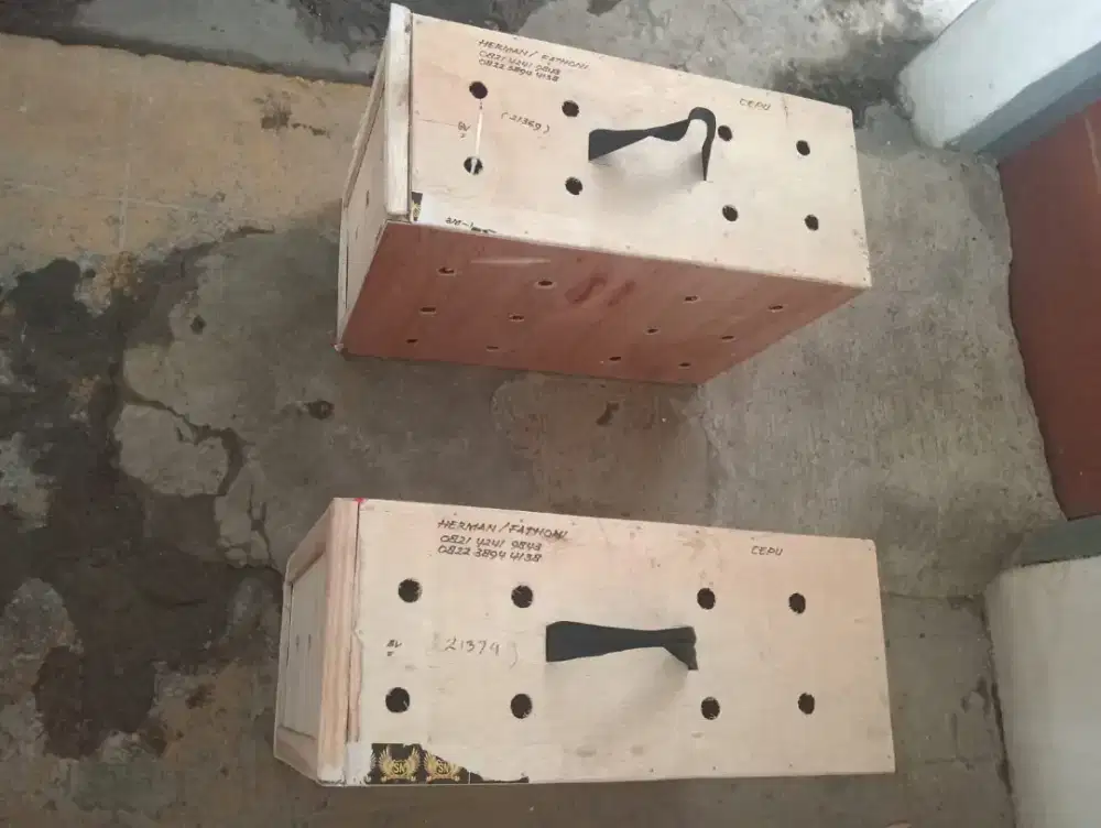 Box untuk pengiriman ayam