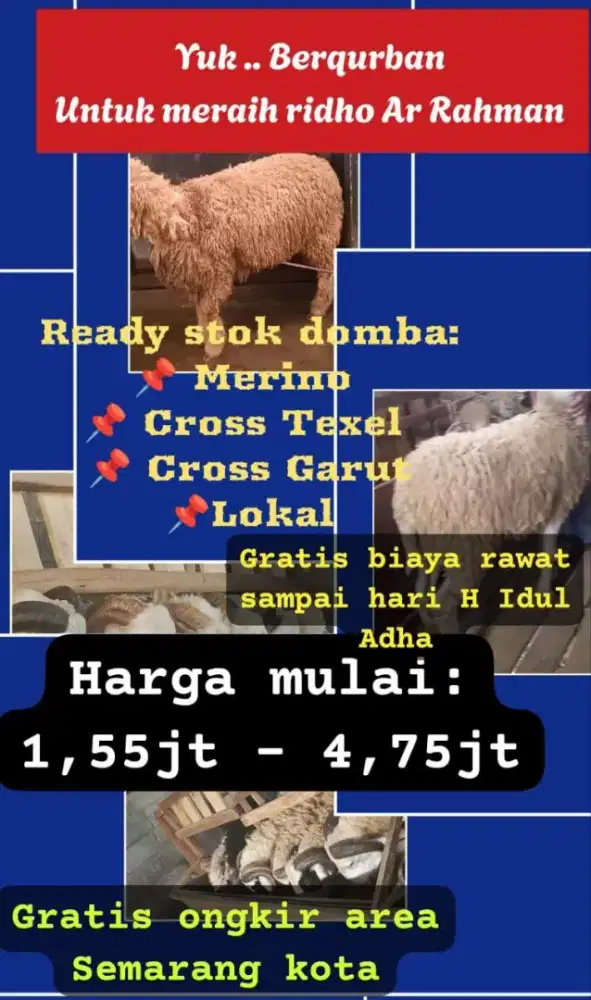 Jual Hewan Kambing Domba Qurban 1447H di Semarang