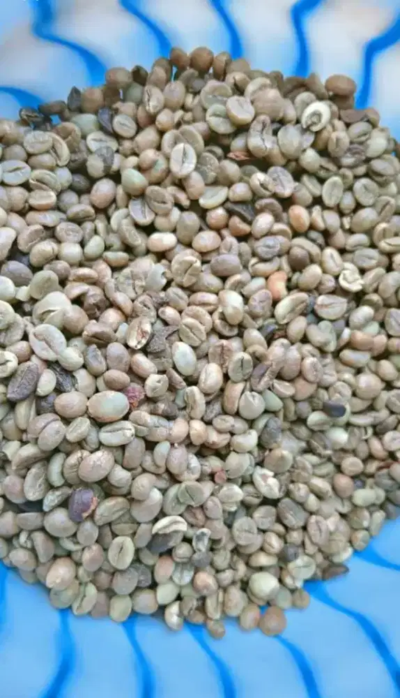 Biji kopi atau Coffee Bean