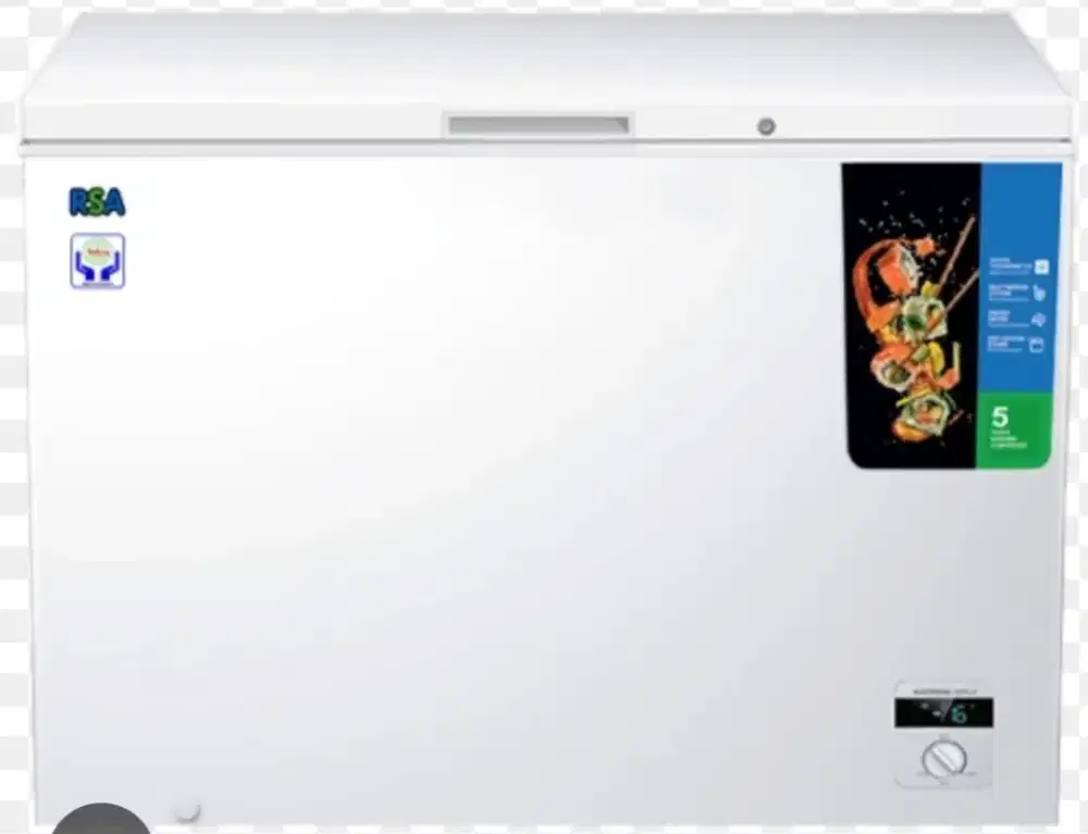 FREEZER BOX RSA CF 310 -300L