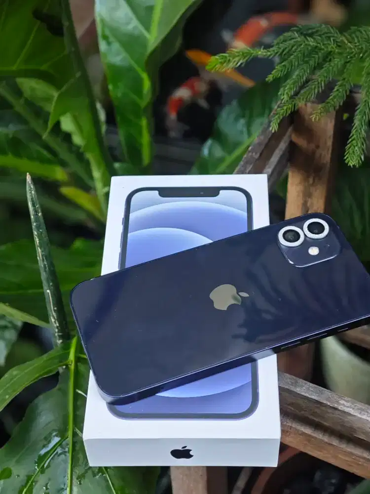 Iphone 12 128 Gb eks ibox