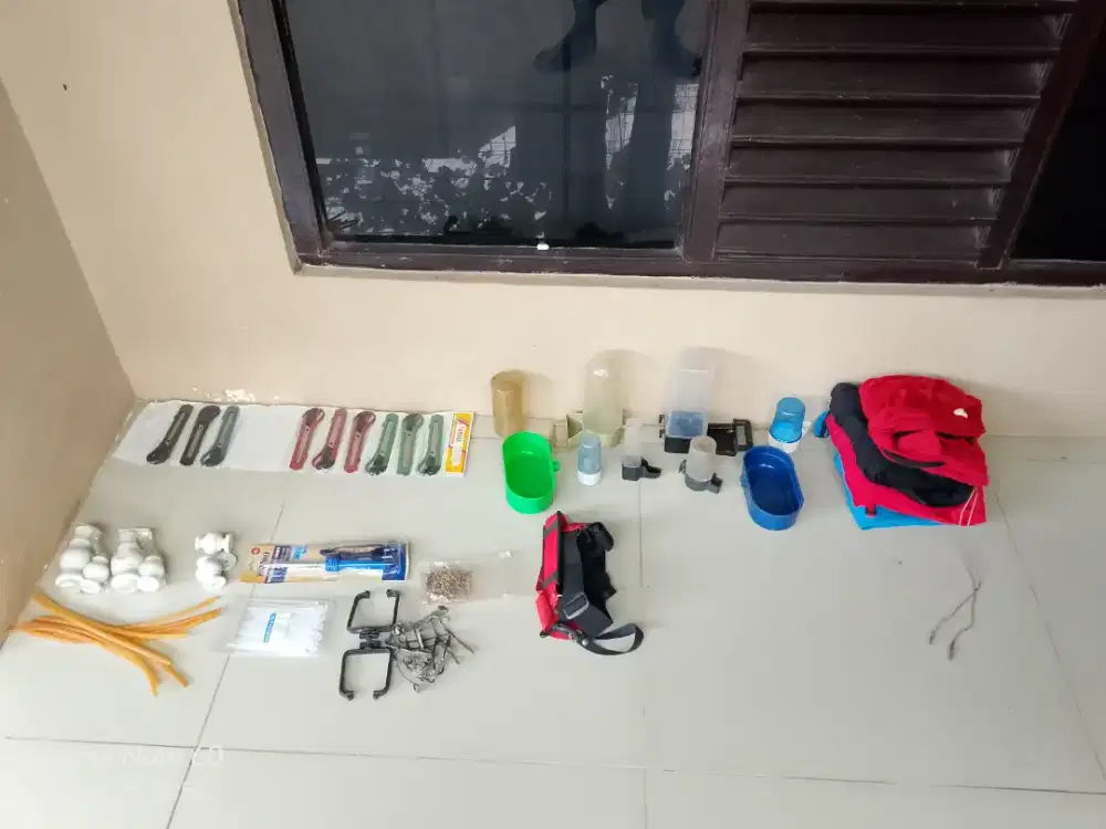 Edisi pensiun di dunia burung