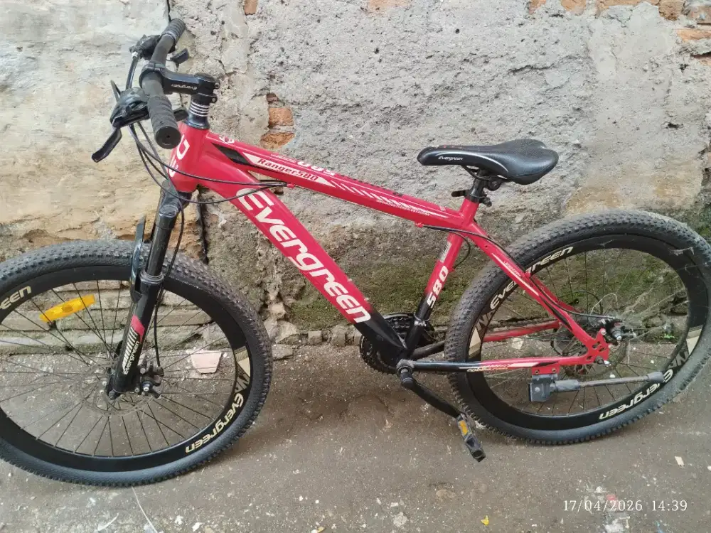 Sepeda evergreen dewasa