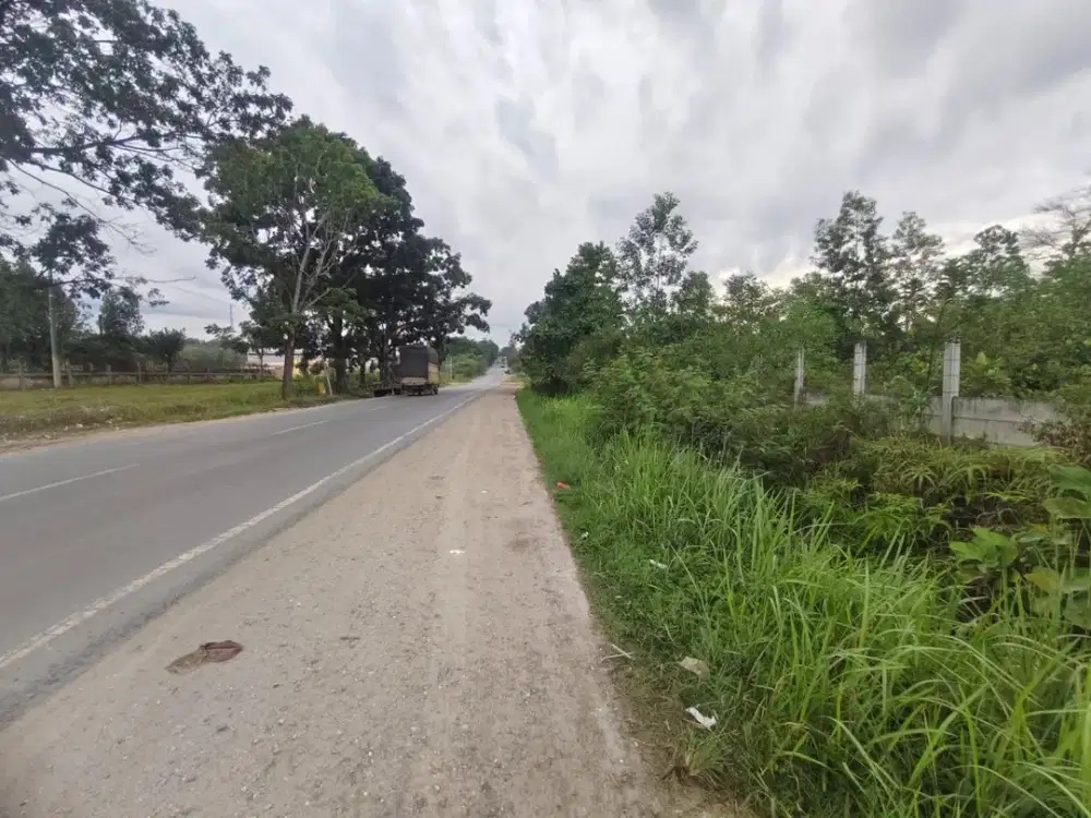 Tanah tepi jalan Palas / Rumbai Pekanbaru