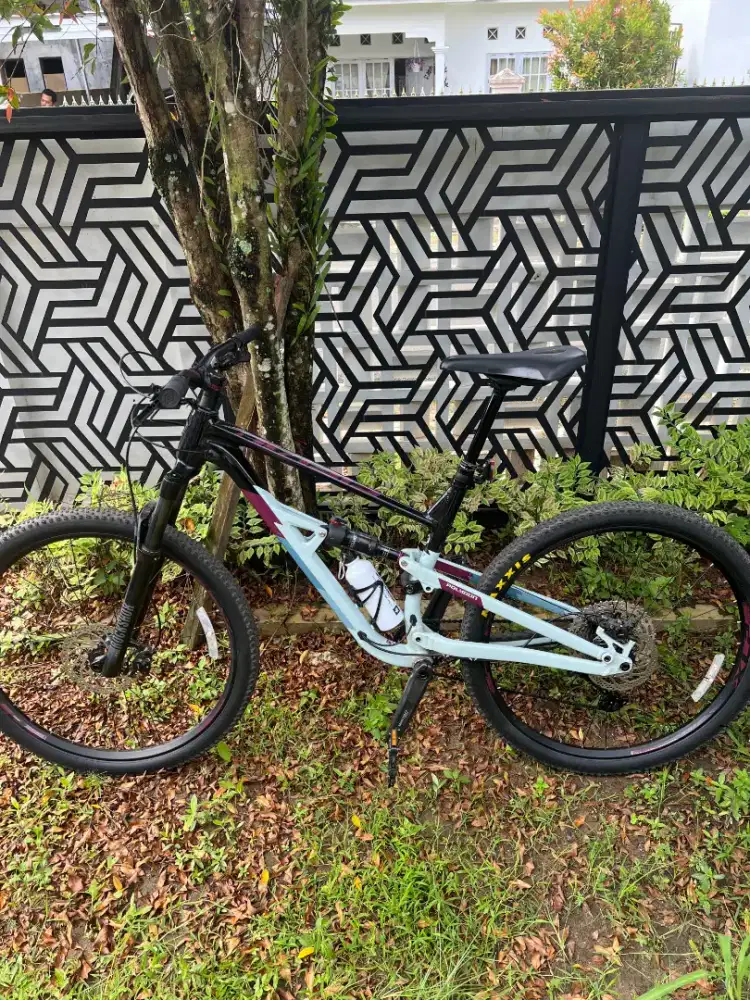 Polygon Siskiu D7 2021