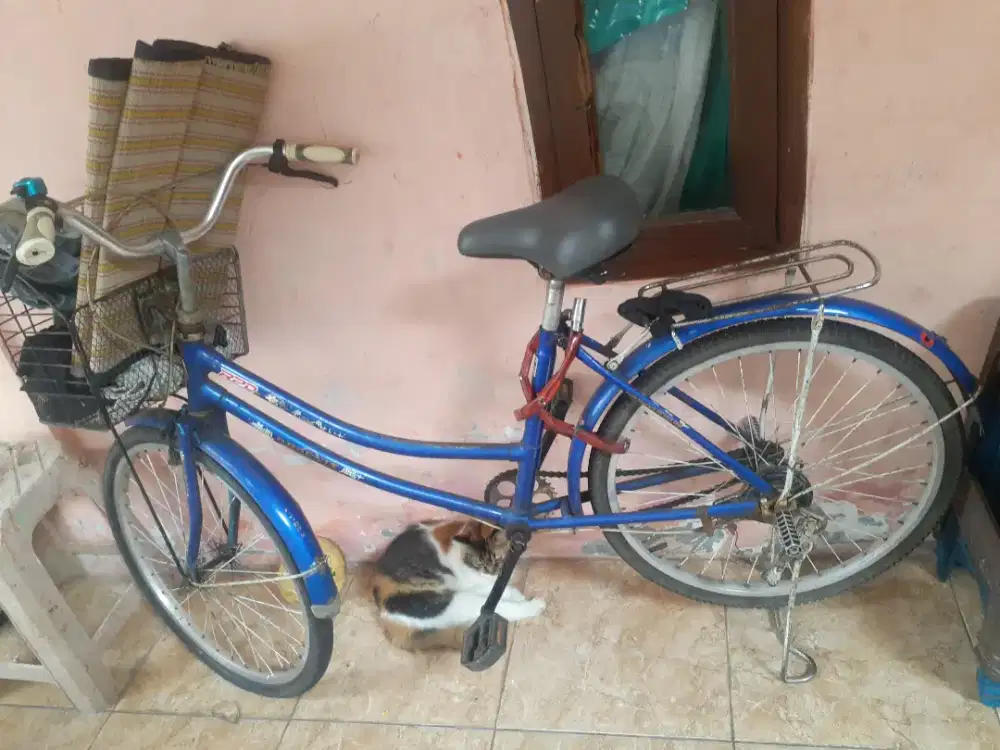 Dijual sepeda perempuan